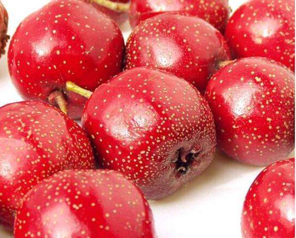 山(shān)楂的(de)功效與作(zuò)用(yòng)