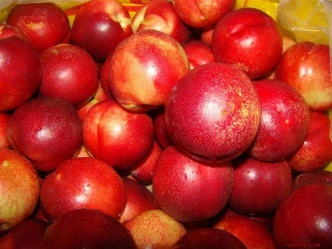 油桃的(de)功效與作(zuò)用(yòng)