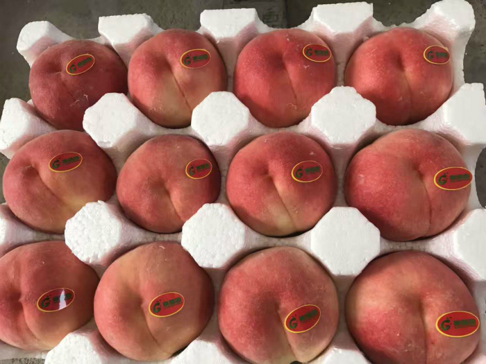 熱(rè)賣中|水(shuǐ)蜜桃